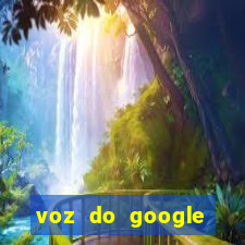 voz do google tradutor homem